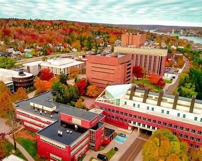 جامعة ميشيغان التقنية